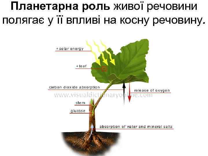 Планетарна роль живої речовини полягає у її впливі на косну речовину. 
