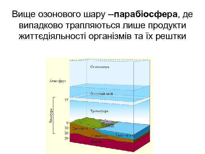 Вище озонового шару --парабіосфера, де випадково трапляються лише продукти життєдіяльності організмів та їх рештки