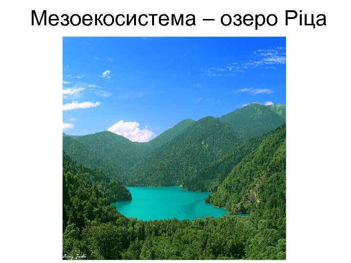 Мезоекосистема – озеро Ріца 