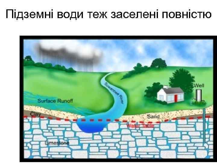 Підземні води теж заселені повністю 