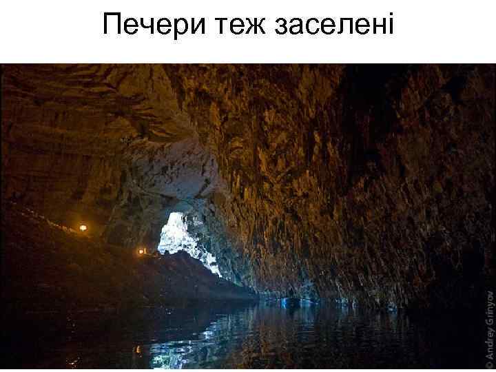 Печери теж заселені 