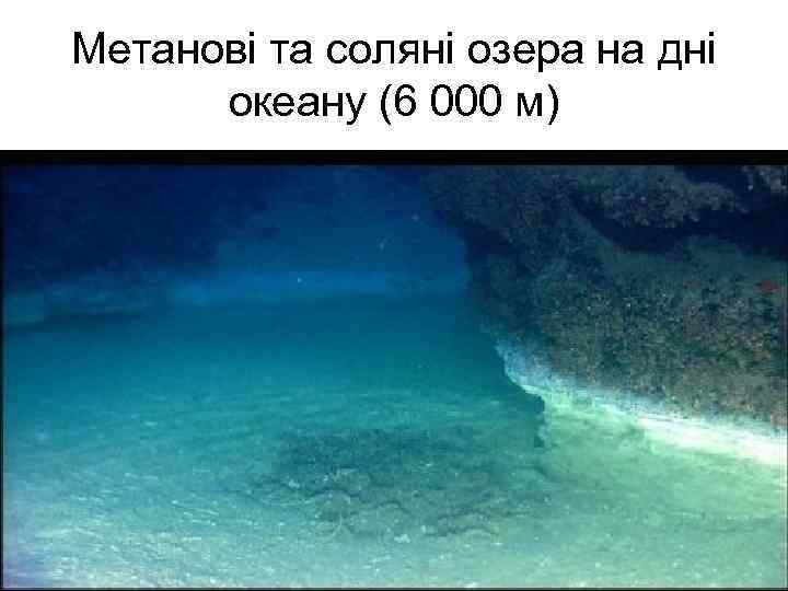 Метанові та соляні озера на дні океану (6 000 м) 