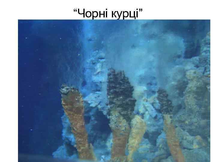 “Чорні курці” 