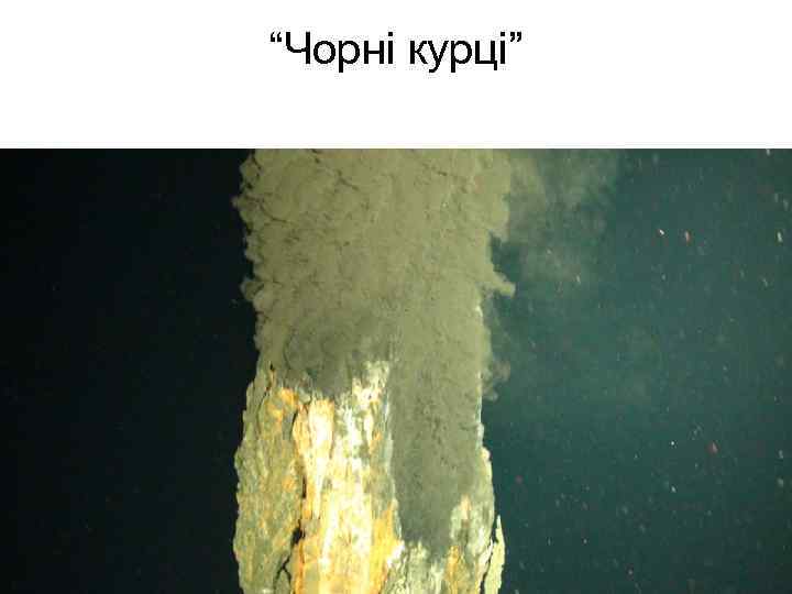 “Чорні курці” 