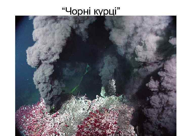 “Чорні курці” 