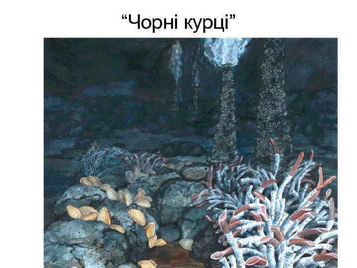 “Чорні курці” 