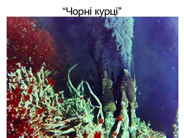 “Чорні курці” 