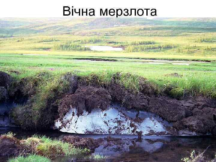 Вічна мерзлота 