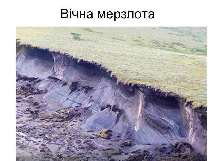 Вічна мерзлота 