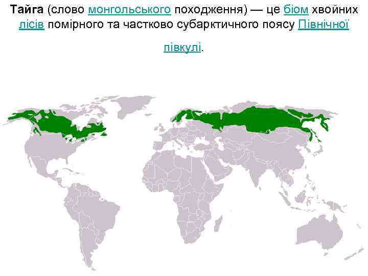 Тайга (слово монгольського походження) — це біом хвойних лісів помірного та частково субарктичного поясу