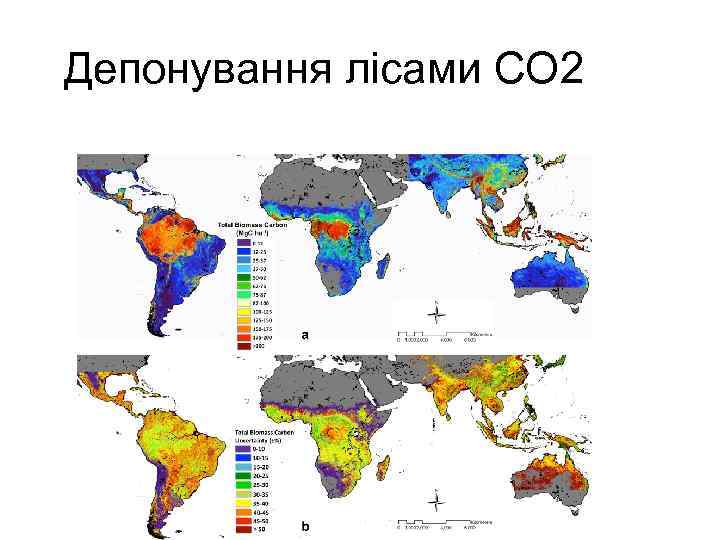 Депонування лісами СО 2 