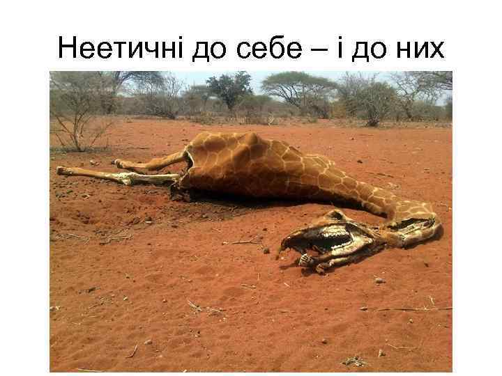 Неетичні до себе – і до них 