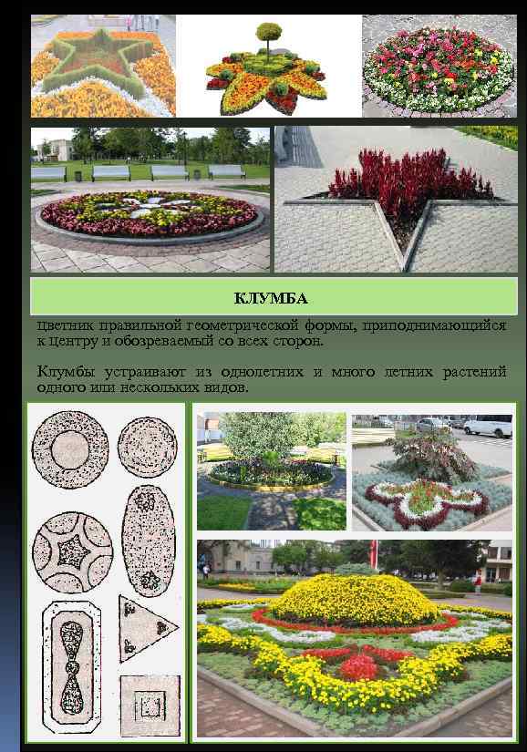 Проект городской клумбы