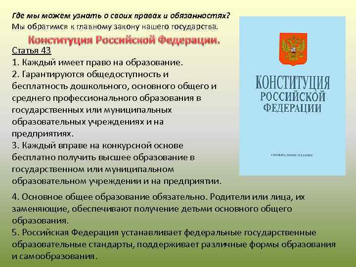 Где мы можем узнать о своих правах и обязанностях? Мы обратимся к главному закону