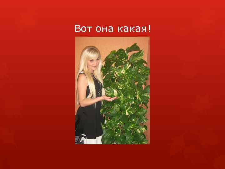 Вот она какая! 