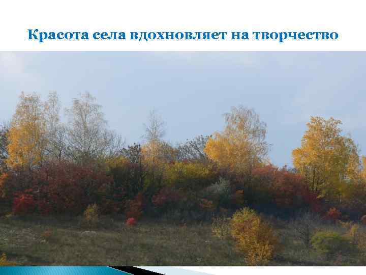Красота села вдохновляет на творчество 