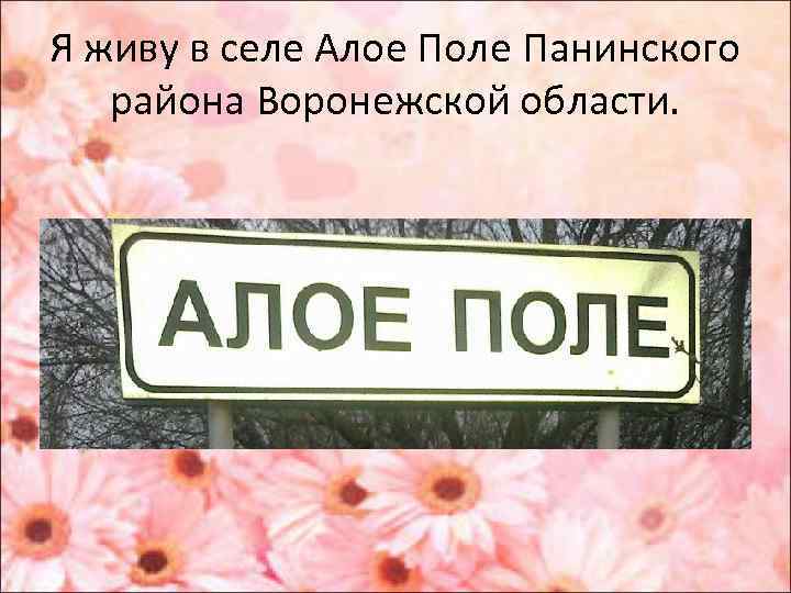 Я живу в селе Алое Поле Панинского района Воронежской области. 