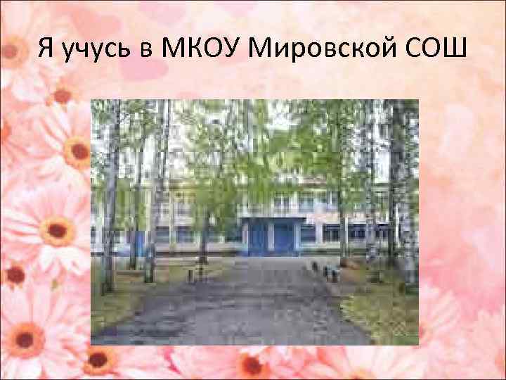 Я учусь в МКОУ Мировской СОШ 