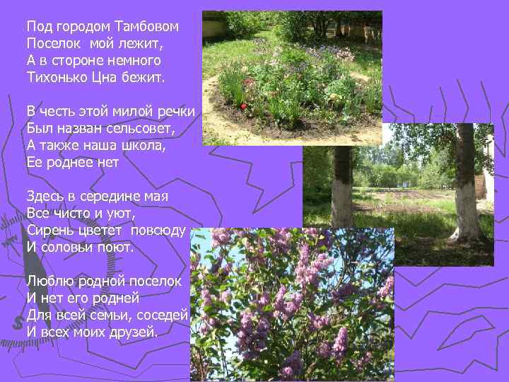 Под городом Тамбовом Поселок мой лежит, А в стороне немного Тихонько Цна бежит. В