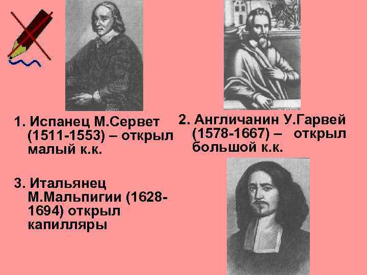 1. Испанец М. Сервет 2. Англичанин У. Гарвей (1511 -1553) – открыл (1578 -1667)
