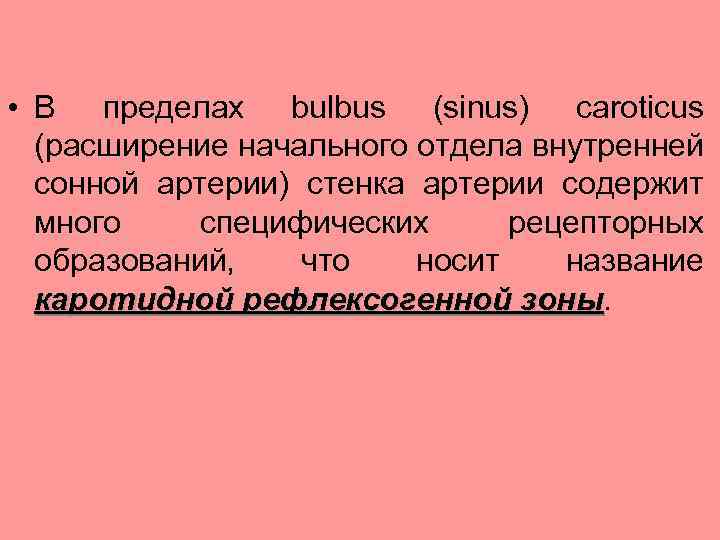  • В пределах bulbus (sinus) caroticus (расширение начального отдела внутренней сонной артерии) стенка