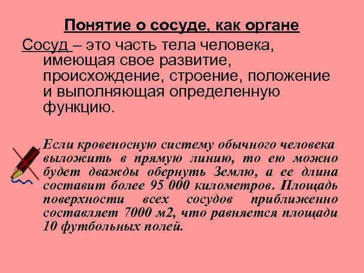 Понятие о сосуде, как органе Сосуд – это часть тела человека, имеющая свое развитие,