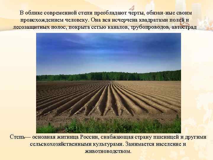 В облике современной степи преобладают черты, обязан ные своим происхождением человеку. Она вся исчерчена