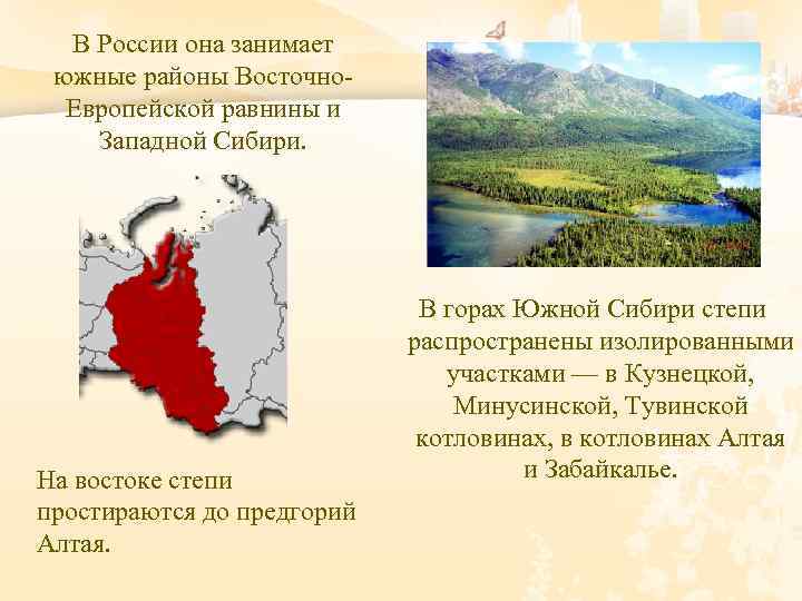 В России она занимает южные районы Восточно Европейской равнины и Западной Сибири. На востоке