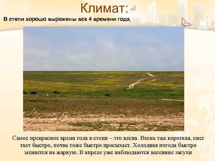 Климат: В степи хорошо выражены все 4 времени года, Самое прекрасное время года в