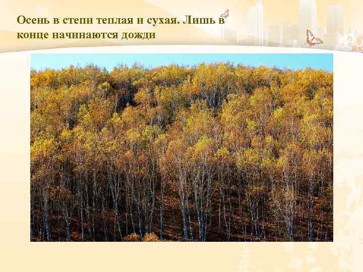 Осень в степи теплая и сухая. Лишь в конце начинаются дожди 
