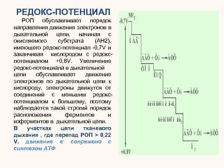 Иметь потенциал