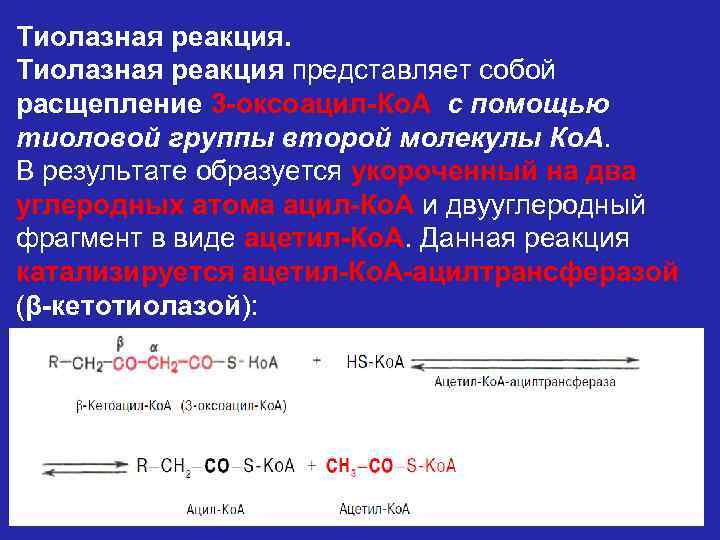 Тиолазная реакция представляет собой расщепление 3 -оксоацил-Ко. А с помощью тиоловой группы второй молекулы