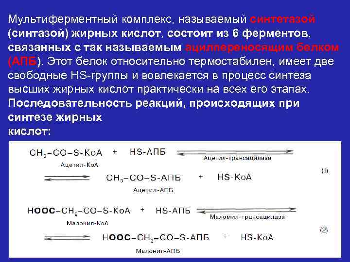 Мультиферментный комплекс, называемый синтетазой (синтазой) жирных кислот, состоит из 6 ферментов, связанных с так