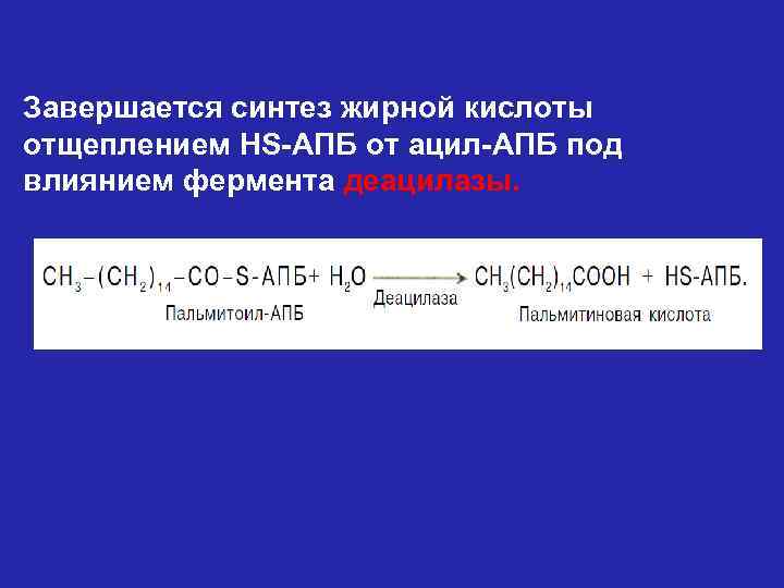 Завершается синтез жирной кислоты отщеплением HS-АПБ от ацил-АПБ под влиянием фермента деацилазы. 