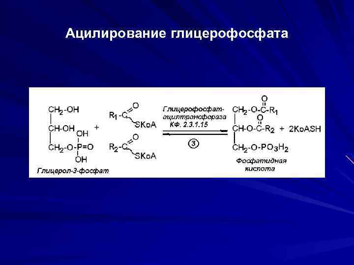 Структура глицерофосфатов и сфинголипидов