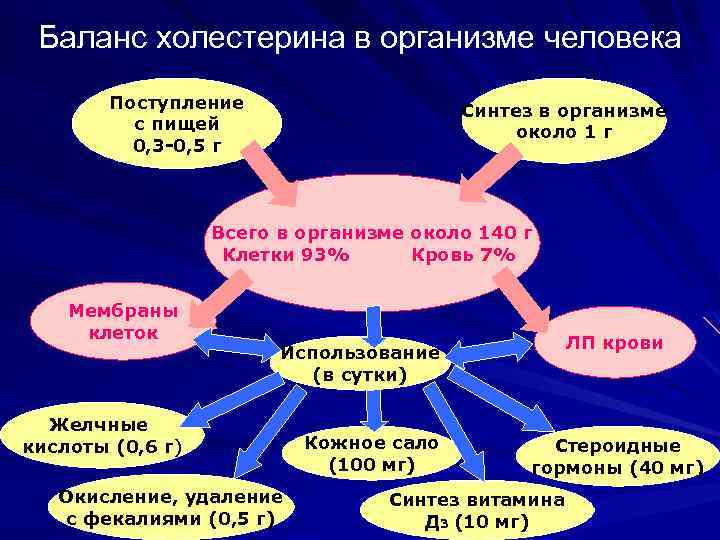 Баланс холестерина в организме человека Поступление с пищей 0, 3 -0, 5 г Синтез