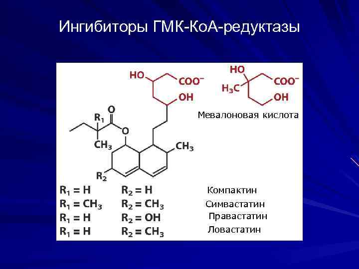 Ингибиторы ГМК-Ко. А-редуктазы Мевалоновая кислота Компактин Симвастатин Правастатин Ловастатин 