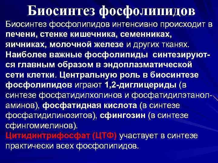 Биосинтез фосфолипидов интенсивно происходит в печени, стенке кишечника, семенниках, яичниках, молочной железе и других