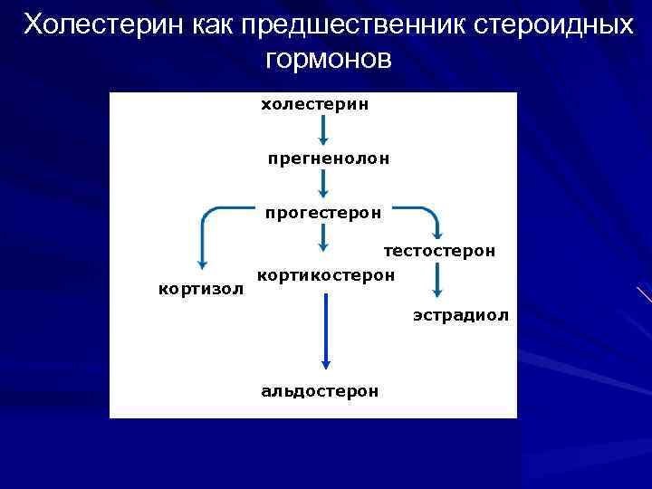 Холестерин как предшественник стероидных гормонов холестерин прегненолон прогестерон кортизол тестостерон кортикостерон эстрадиол альдостерон 