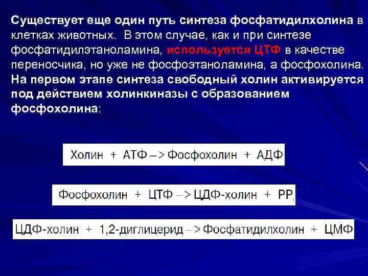 Существует еще один путь синтеза фосфатидилхолина в клетках животных. В этом случае, как и