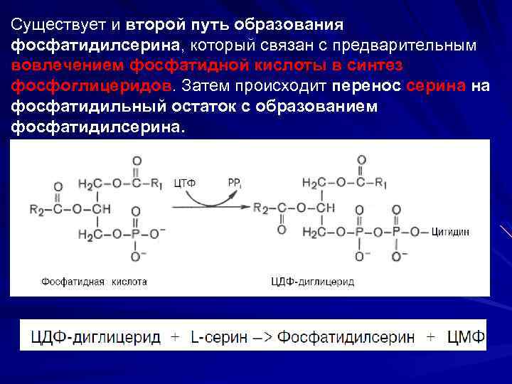 Схема образования фосфатидной кислоты содержащей остатки арахиновой и олеиновой кислот