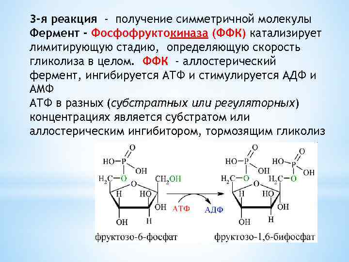 3 -я реакция - получение симметричной молекулы Фермент - Фосфофруктокиназа (ФФК) катализирует лимитирующую стадию,