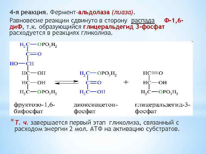 4 -я реакция. Фермент-альдолаза (лиаза). Равновесие реакции сдвинуто в сторону распада Ф-1, 6 ди.