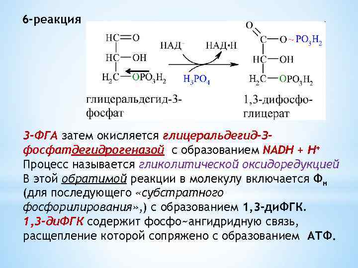 6 -реакция 3 -ФГА затем окисляется глицеральдегид-Зфосфатдегидрогеназой с образованием NADH + H+ Процесс называется