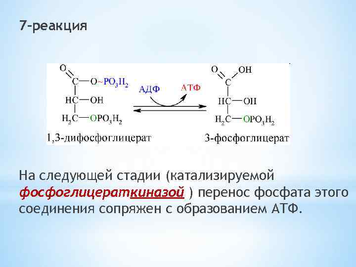 7 -реакция На следующей стадии (катализируемой фосфоглицераткиназой ) перенос фосфата этого соединения сопряжен с