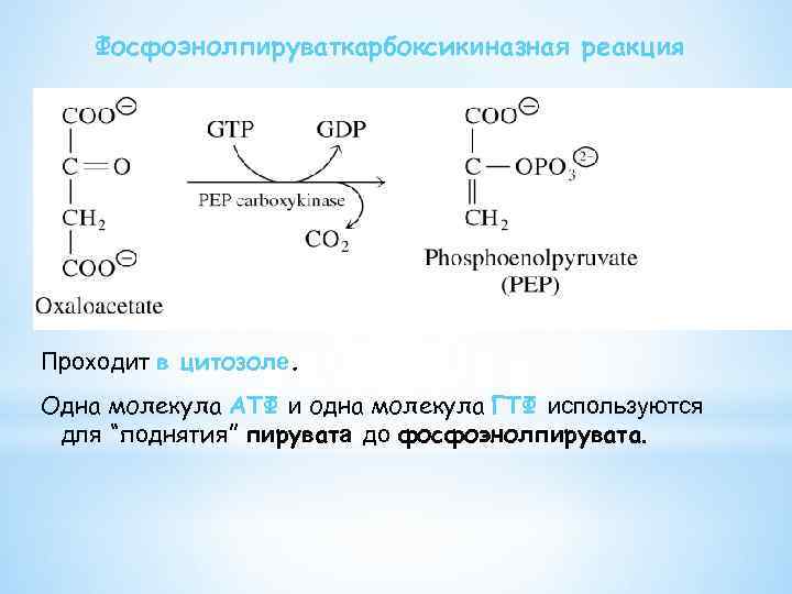 Фосфоэнолпируваткарбоксикиназная реакция Проходит в цитозоле. Одна молекула АТФ и одна молекула ГТФ используются для