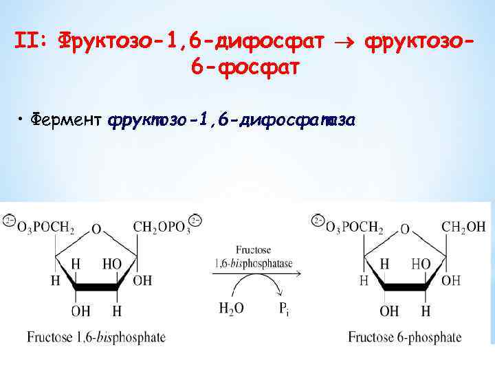 II: Фруктозо-1, 6 -дифосфат фруктозо 6 -фосфат • Фермент фруктозо-1, 6 -дифосфатаза 