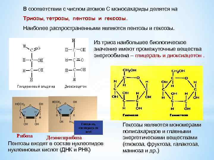 В соответствии с числом атомов С моносахариды делятся на Триозы, тетрозы, пентозы и гексозы.