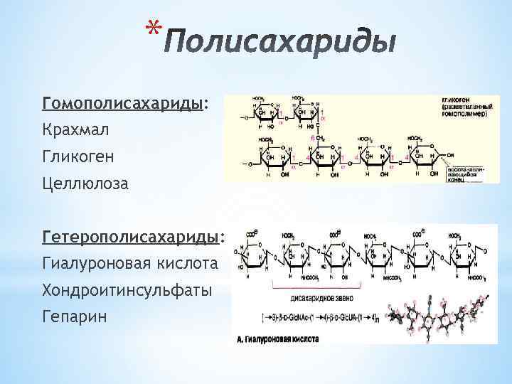 * Гомополисахариды: Крахмал Гликоген Целлюлоза Гетерополисахариды: Гиалуроновая кислота Хондроитинсульфаты Гепарин 