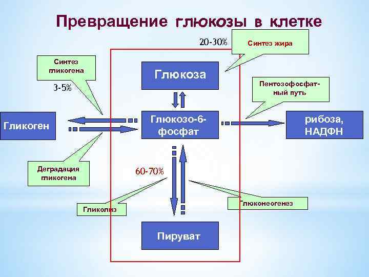 Превращение глюкозы в клетке 20 -30% Синтез гликогена Глюкоза 3 -5% Синтез жира Пентозофосфатный